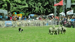 Bariloche comenzó la Expo Rural para vivir un fin de semana diferente