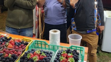 Brindis, música y diversión en primera jornada del Festival Cervecero del Bosque de Lago Puelo. Foto: Telam