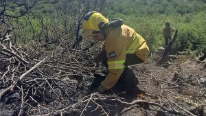 Se abrió el acceso a Rucachoroi: qué significa que el incendio del parque Lanín está circunscrito