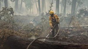 «Nuestros héroes»: el mensaje de Weretilneck a los brigadistas del incendio en el parque Nahuel Huapi