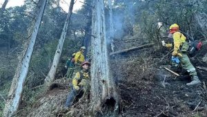 Incendio en el parque Nahuel Huapi: continúan los trabajos y advierten por la caída de árboles de gran tamaño