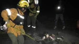 Iniciaron fogón en un sitio no habilitado del parque nacional Lanín: eran vecinos de San Martín de los Andes