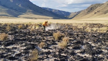 Incendios en la parque Nahuel Huapi: lograron controlar un foco iniciado por un rayo
