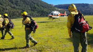 Incendio en el parque Lanín: brigadistas trabajan arduamente para contener los focos activos
