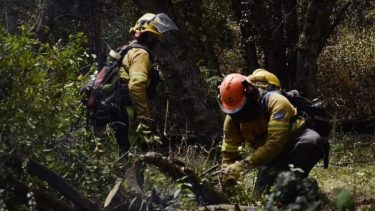 El incendio en el Parque Nahuel Huapi, pronto a ser controlado. Foto: Archivo. 