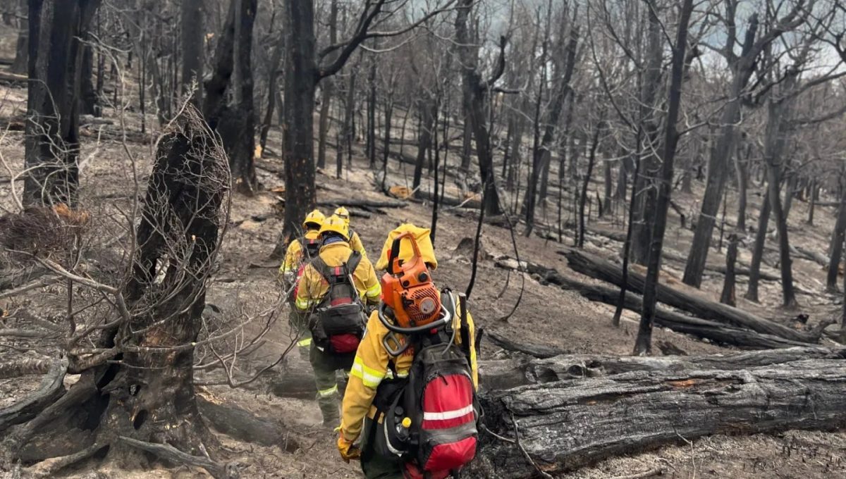 Incendio en el parque Nahuel Huapi: más de 30 brigadistas continúan trabajando para extinguir el fuego