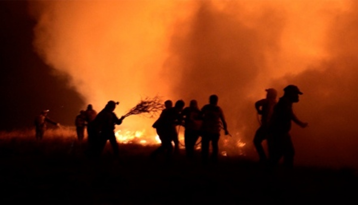Chile declaró el estado de excepción por incendios forestales y reportan muertos. Foto: Télam