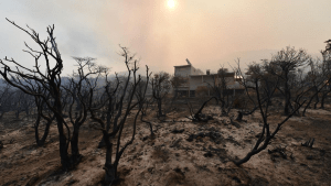 Incendios forestales: en dos décadas se quemó la superficie de 14 veces la ciudad de Neuquén