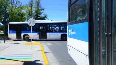 En los municipios de Neuquén, los boletos cubren menos de la mitad del costo del transporte