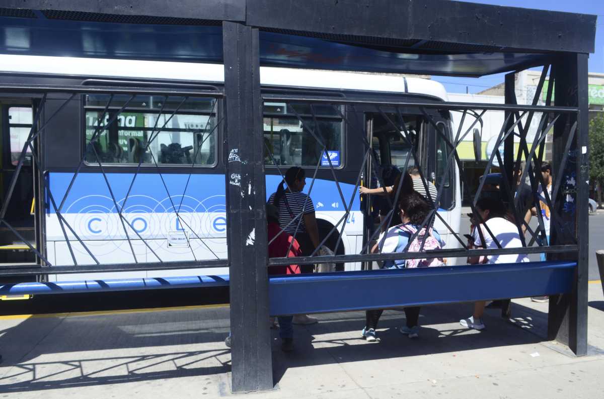 En Neuquén el pasaje del servicio urbano se irá a 450 pesos este mes, según anunció el municipio. Foto: Cecilia Maletti.