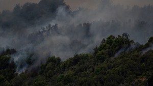 Incendio en Los Alerces: el viento complicó el trabajo de los brigadistas