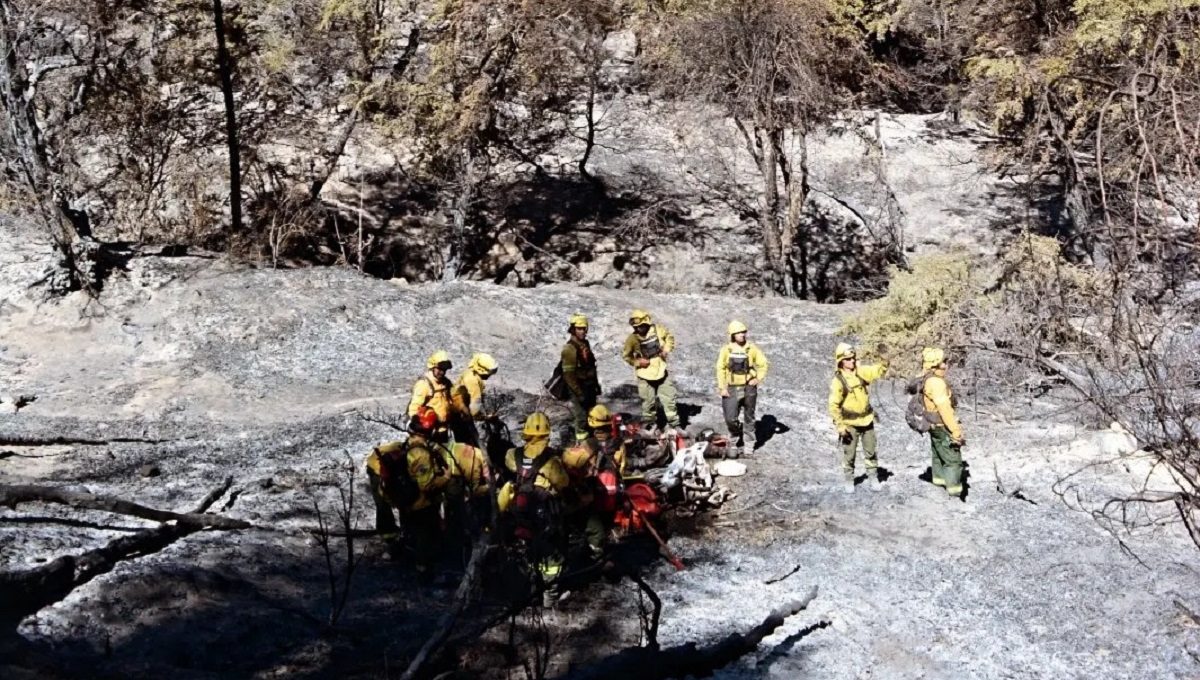 Incendio en el parque Los Alerces ya arrasó con 8 mil hectáreas.