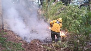 A pesar de los incendios en parque Nahuel Huapi, siguen encontrando fogones en zonas no habilitadas