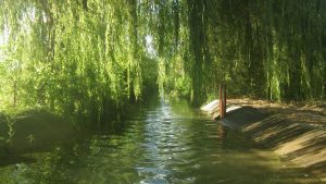 Asegurar la calidad del agua para la exportación frutícola del Alto Valle