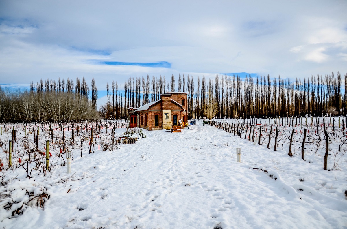 La bodega Des De La Torre est&aacute; ubicada en Chos Malal y sus vinos llegaron al Vaticano para que los beba el Papa Francisco