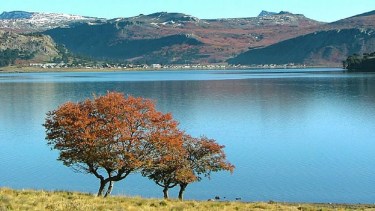 Cómo está el estado de las rutas en Neuquén este domingo 4 de febrero