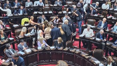la emoción en el recinto de una diputada radical que fue amenazada por libertarios 