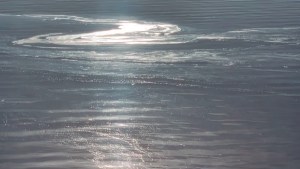 Todos debemos ser guardianes del agua de nuestros lagos