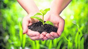 Bioeconomía: aprovechar recursos biológicos para la producción sustentable de bienes y servicios