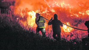 Manos voluntarias apaciguan las peores tragedias en Chile