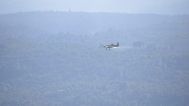Incendio en parque Los Alerces: el fuego se reactivó por el viento y el humo cubrió a Esquel. Foto Parque Nacional Los Alerces