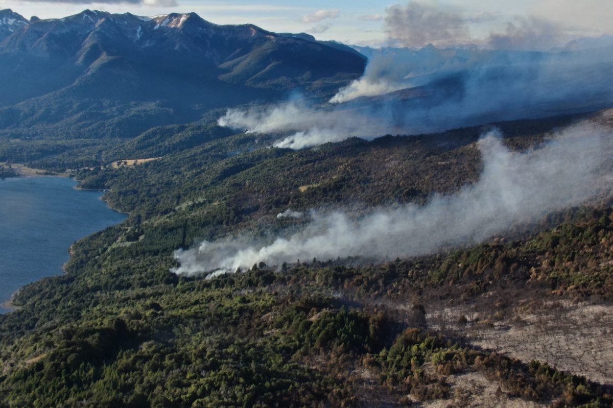 Incendio en parque Los Alerces: la millonaria recompensa que ofrecen para dar con los autores