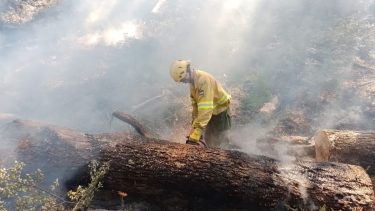 Este verano el incendio en el parque Los Alerces, en Chubut, se prolongó más de dos meses. Foto: Gentileza Parque Los Alerces