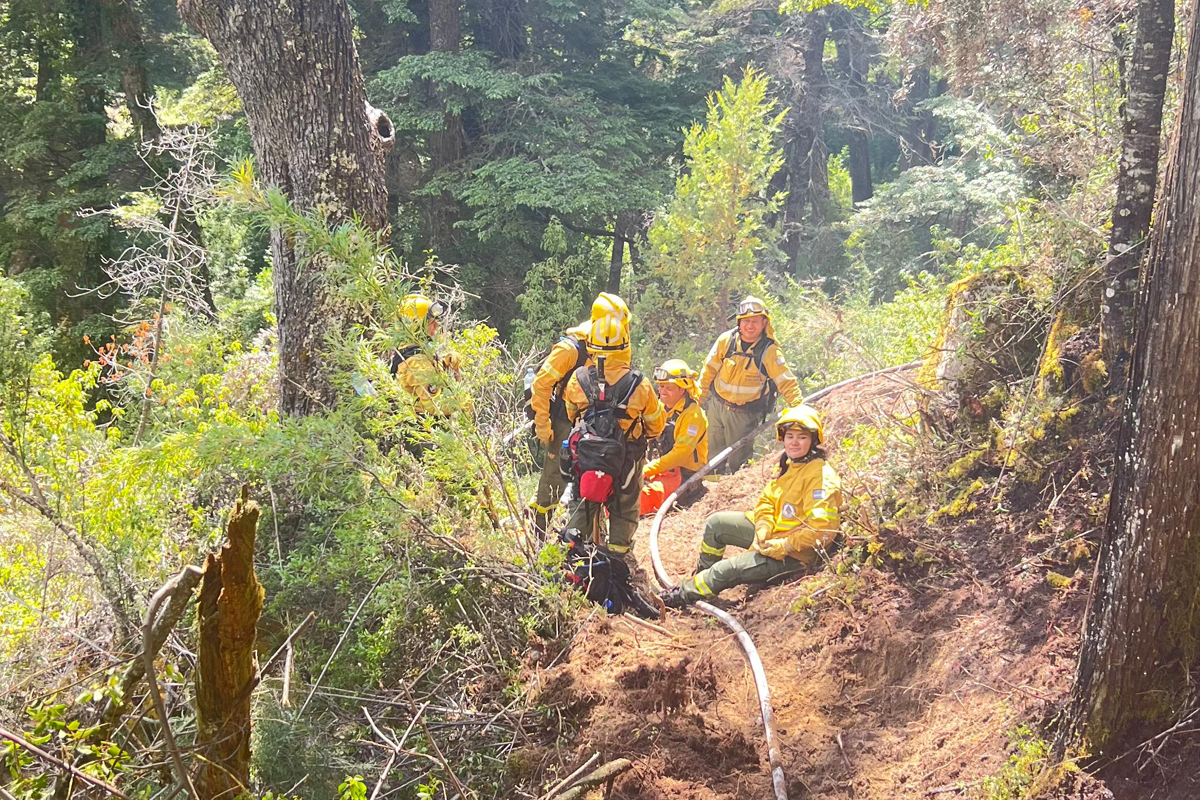Casi 600 hectáreas consumió el fuego en el parque Nahuel Huapi. (Gentileza prensa Parques Nacionales) 