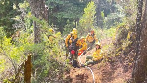 Incendio en el parque nacional Nahuel Huapi: cuáles son los senderos inhabilitados