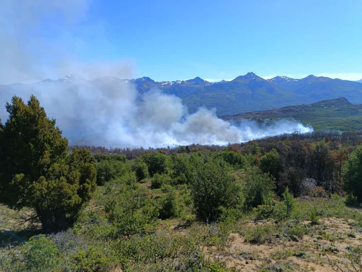 Incendio Parque Nacional Los Alerces.