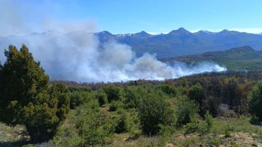Incendio Parque Nacional Los Alerces.