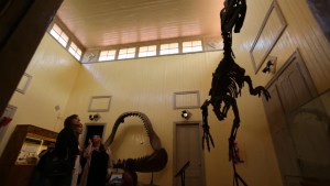 Dos museos para llevar a los chicos, si estás en Las Grutas y aman a los dinosaurios