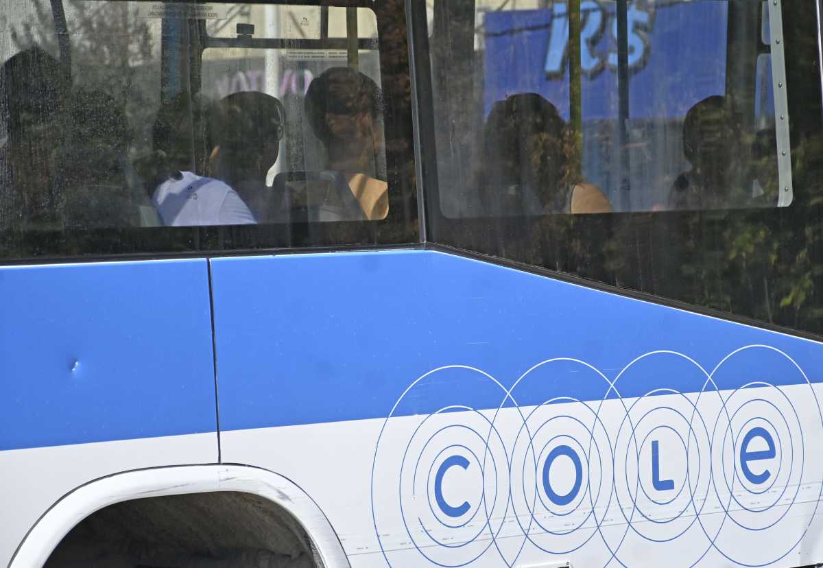 La quita de Milei impacta en más de 1.6 millones de pasajeros en Neuquén capital (foto Florencia Salto)