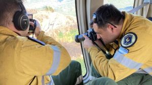 Parque Nacional Los Alerces: llegaron peritos para determinar las causas del incendio