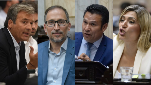Cómo votó Neuquén y Río Negro en la Ley Ómnibus: qué dijeron de cara a la sesión de este martes
