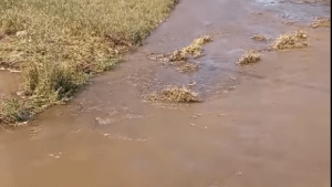 Video: Lograron arreglar la rotura del acueducto principal de Allen