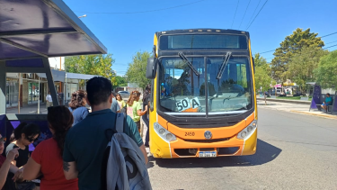 Boleto estudiantil gratuito en Plottier: cómo acceder y cuáles son los requisitos