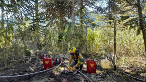 Video | Incendio en el parque Lanín: cómo sigue el trabajo de los brigadistas y qué pasará con el frío que se viene