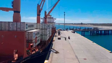 "Don Alberto", el primer buque de fruta llegó al Puerto de San Antonio Este y partirá el sábado rumbo a Brasil. Gentileza: Sindicato de Obreros Portuarios.