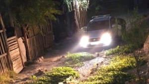 Por un conflicto familiar terminaron secuestrando más de 100 plantas de marihuana en Villa Regina