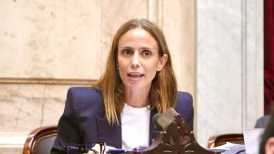 Tanya Bertoldi sobre el regreso a comisión de la Ley Ómnibus: «Otro papelón del Gobierno»