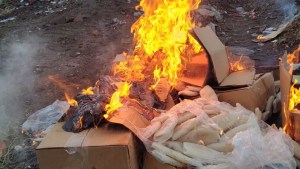 Destruyeron cajas de mariscos y calamares que eran transportados de San Antonio Oeste a Cipolletti