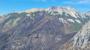 El incendio sigue avanzando en el parque Nahuel Huapi. Foto: Gentileza. 