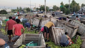Caos sobre Ruta 7: un camión perdió bins con peras y vecinos se acercaron a vaciarlos, en Centenario