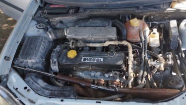 Abigeato en El Cóndor: así frustraron el robo de ganado