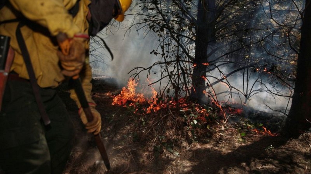 Combaten un nuevo incendio forestal cerca de El Bolsón. Foto Archivo.