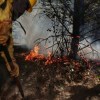 Imagen de Nuevo incendio forestal cerca de El Bolsón: brigadistas combaten las llamas y esperan refuerzos