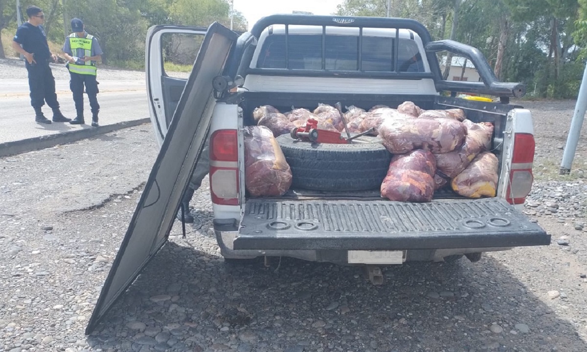 Decomisaron más de 400 kilos de carne de caballo en Catriel. Foto: Gentileza.