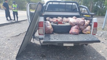 Decomisaron más de 400 kilos de carne de caballo en Catriel. Foto: Gentileza.