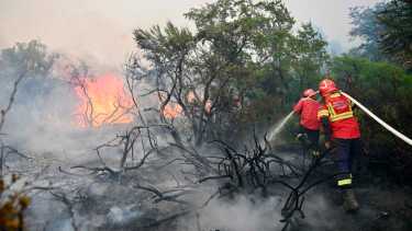 «Ponen el cuerpo, van al frente, te emocionan»: bomberos y brigadistas, nuestros héroes en el incendio de Los Alerces